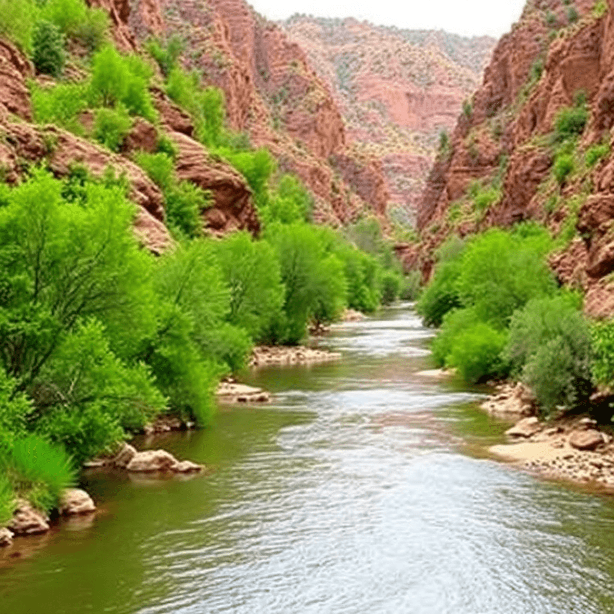 A scenic view of the Verde River in Clarkdale, Arizona, framed by canyon walls and greenery, with kayaks and paddleboards suggesting adventure and ...